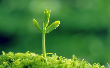Cuộc sống vui vẻ thật đơn giản